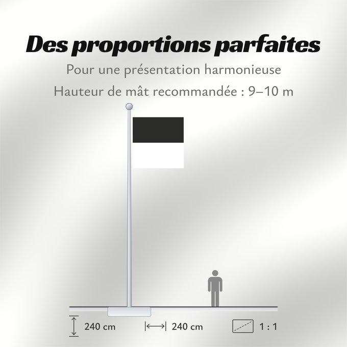 Proportions du drapeau : Canton of Fribourg Fribourg Kanton Freiburg