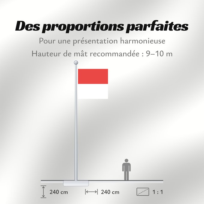 Proportions du drapeau : Canton of Solothurn	Canton of Solothurn  Switzerland	Soleure	cantón de Soleura	Kanton Solothurn	Soletta	Kanton Solothurn  Swiss