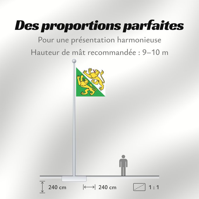 Proportions du drapeau : Canton of Thurgau	Thurgau	canton de Thurgovie	cantón de Turgovia	Canton of Thurgau in Switzerland