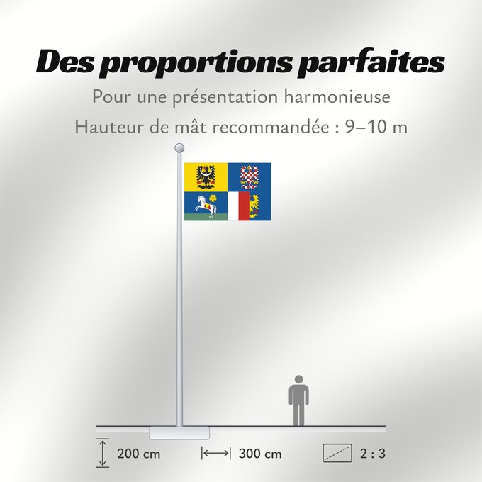 Proportions du drapeau : Moravian-Silesian Region	Région de Moravie-Silésie	Región de Moravia-Silesia	Moravian-Silesian	Moravskoslezského kraje čtvrcený list v horním žerďovém žlutém poli slezská orlice v dolním žerďovém modrém poli na zeleném trávníku