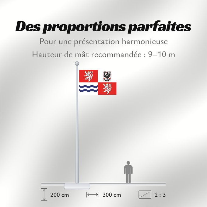 Proportions du drapeau : Central Bohemian Region	Région de Bohême centrale	Región de Bohemia Central	Mittelböhmische Region