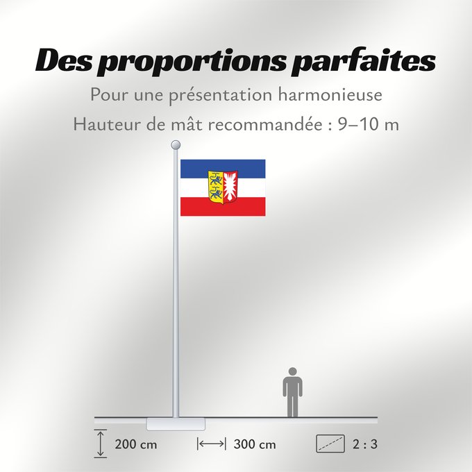Proportions du drapeau : Schleswig-Holstein