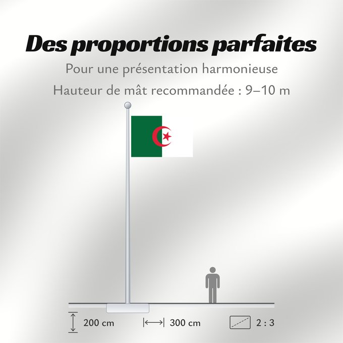 Proportions du drapeau : Algeria L Algérie Argelia Algerien Dell Algeria Algerije Argélia Algierii Vo Algérie علم الجزائر Σημαία της Αλγερίας Alĝerio Algerian דגל אלג יריה Algéria Aljazair アルジェリアの国旗 Asenǧaq n Dzayer 알제리의 국기 Drapèu d Argeria Флаг Алжира Alžirije Algeriets ⴰⵏⴰⵢ ⴰⴷⵣ