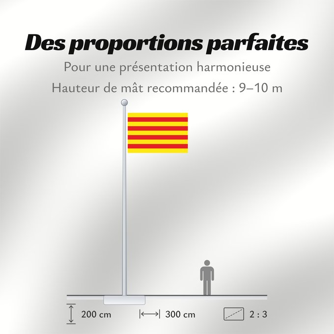 Proportions du drapeau : Catalonia The senyera La seniera La señera Die senyera Dell Aragón traslitterata in spagnolo come señera La senyera La Senjera