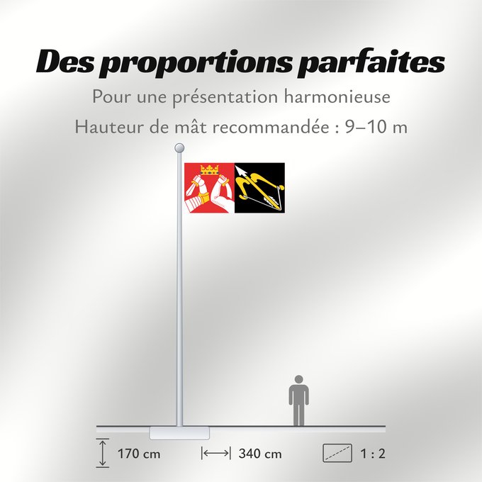 Proportions du drapeau : Itä-Suomen lääni