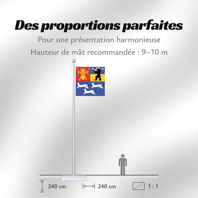 Proportions du drapeau : Länsi-Suomen lääni