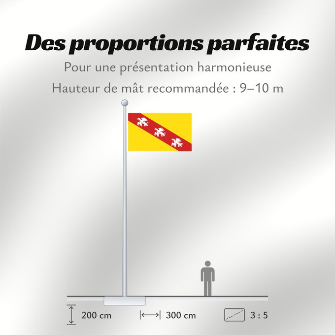 Proportions du drapeau : Lorraine Region Lorraine in France Région Lorraine en France Lorena Lorena