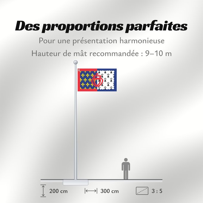 Proportions du drapeau : Unofficial flag of Pays-de-la-Loire	Unofficial flag of the region Pays-de-la-Loire in France	Non officiel de la région Pays-de-la-Loire	Países del Loira	Pays de la Loire	Los Païses de Léger