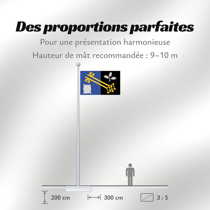 Proportions du drapeau : County flag of Surrey	The County Flag of Surrey	Surrey