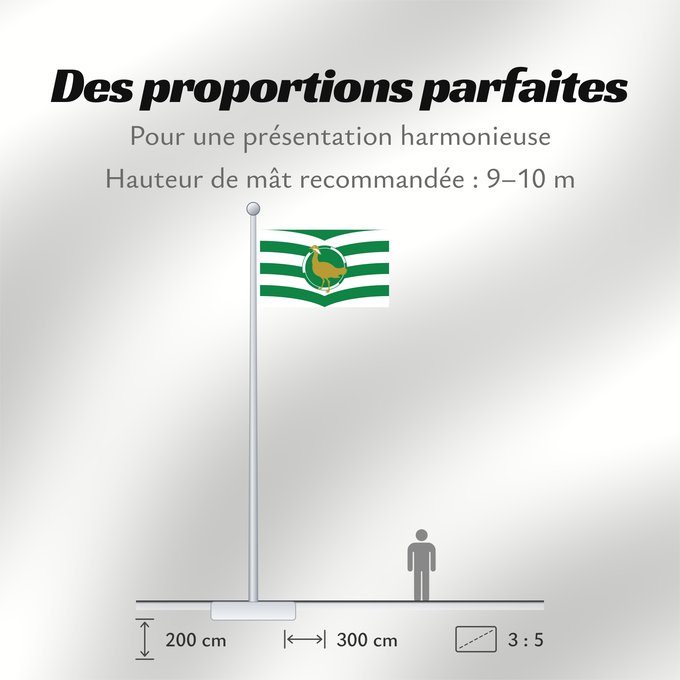 Proportions du drapeau : County Flag of Wiltshire	Wiltshire	Le Wiltshire