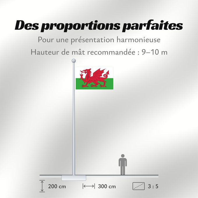 Proportions du drapeau : Wales 2	Wales	Pays de Galles	Gales	Wale	Galles	Walii	Wīelisc Fana	علم ويلز	Banniel Kembre	Cymru	Galesko bandera	Walesin	Breataine Bige	Brattag Vretin	Walesa	Kembra	Valliae	Знаме на Велс	Couleu de Galles	Флаг Уэльса	Прапор Уельсу
