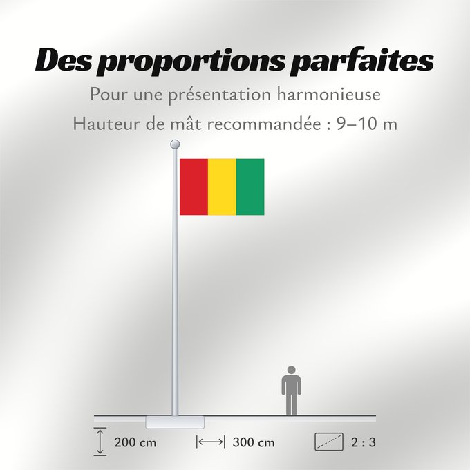 Proportions du drapeau : Guinea	Guinée