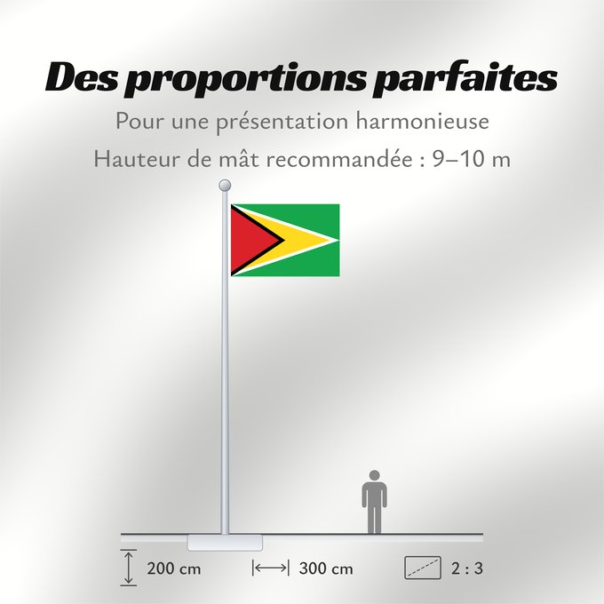Proportions du drapeau : Guyana	Guiana	Wayana wiphala	Gujano	Gwayana	Wayana unancha	Флаг Гайаны	Guyanas	Quốc kỳ Guyana