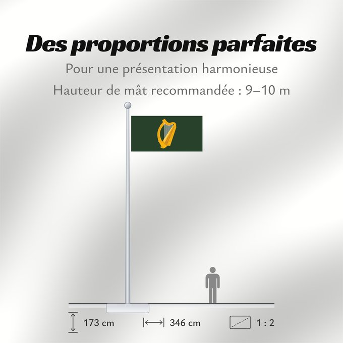 Proportions du drapeau : Leinster	W Leinster