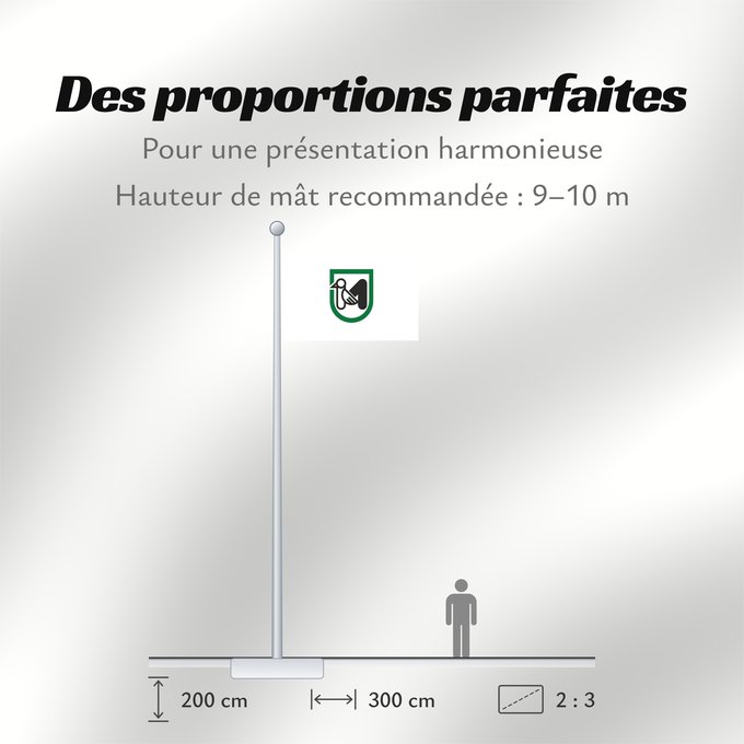 Proportions du drapeau : Marche	It is easy to put a border around this flag image	marche	Marcas	Italienischen Region Marken	Regione italiana Marche