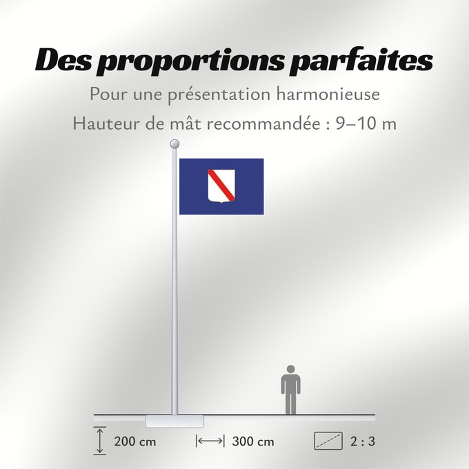 Proportions du drapeau : Campania	Campania’s	région de Campanie	Regione italiana Campania	Bannera dâ Campania