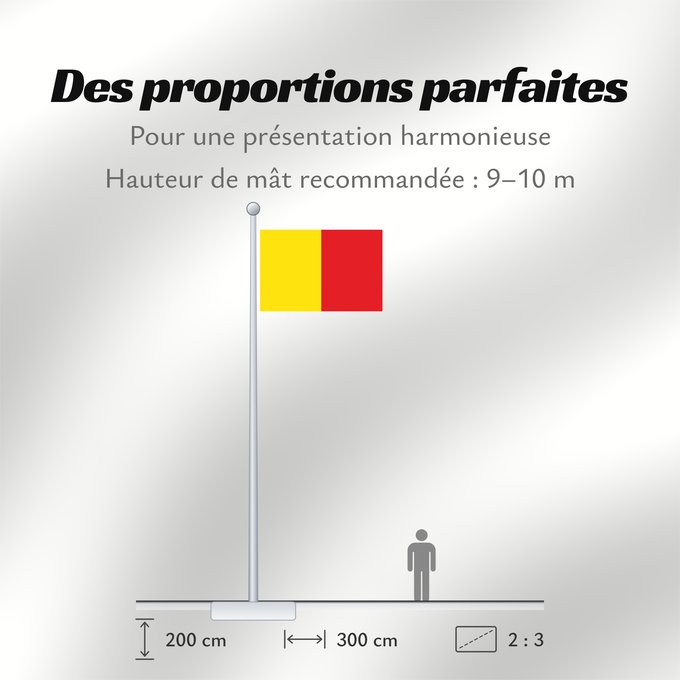 Proportions du drapeau : Naples	Province of Naples	Province de Naples	Provincia de Naples	Provinz Naples	Napoli