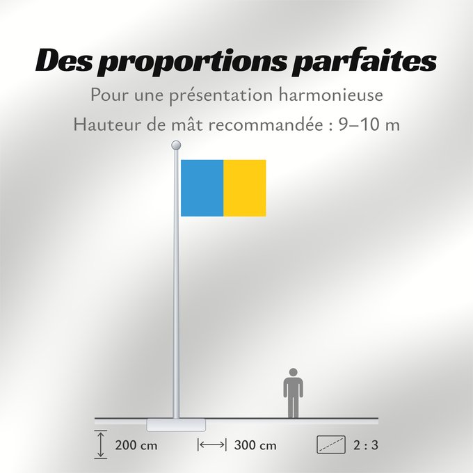 Proportions du drapeau : Province of Udine	Province d'Udine	Provincia de Udine	Provinz Udine	Provincia di Udine