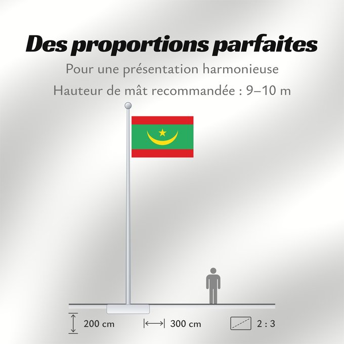 Proportions du drapeau : Mauritania	Mauritanie	La Asamblea Nacional de Mauritania aprobó cambiar el diseño de la bandera nacional	Mauretanien	علم موريتانيا ، اعتمد في عام 2017. أضاف مجلس الأمة خطوطًا حمراء على الحافة العلوية والسفلية لتمثل  دماء شهداء الاستقلال