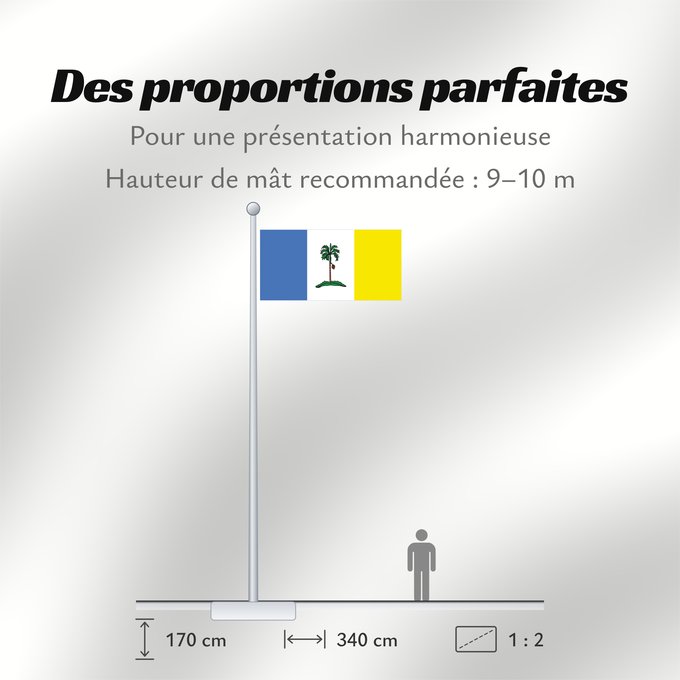 Proportions du drapeau : Pulau Pinang
