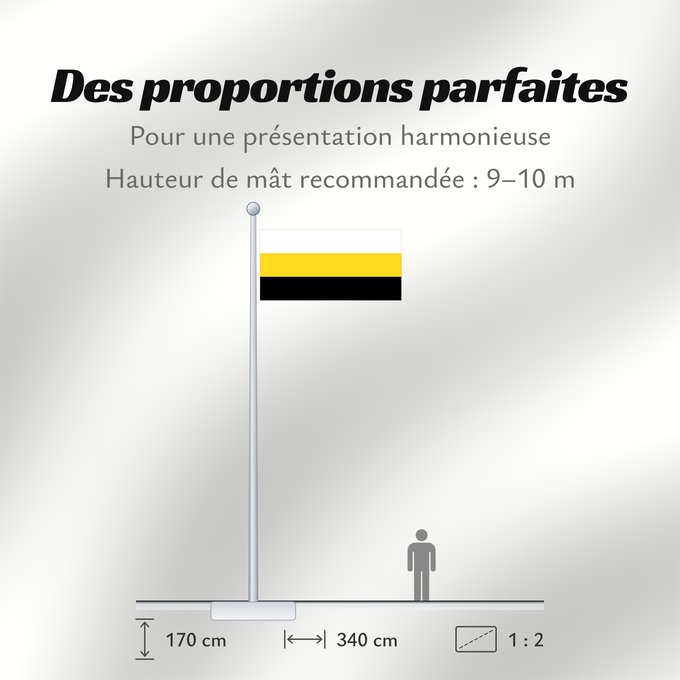 Proportions du drapeau : Perak	Malaysian state of Perak