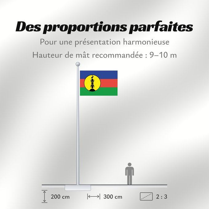 Proportions du drapeau : FLNKS Kanak and Socialist National Liberation Front political party Front de libération nationale kanak et socialiste Colores Pantone http //www Neukaledonien Nuova Caledonia Front d Alliberament Nacional Canac Socialista