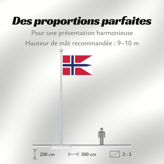 Proportions du drapeau : Norway	Norvège	Noruega	Norwegen	Norvegia	Noorwegen	Norwegii	Þjóðfáni Noregs	Banniel Norvegia	Norska	Norwy	Norges	Norvegio	Noregs	Norveške	Norski fáninn	Norvegiae	Norges flagg	Det norske flagget	Norgga leavga	Stän Norgäna
