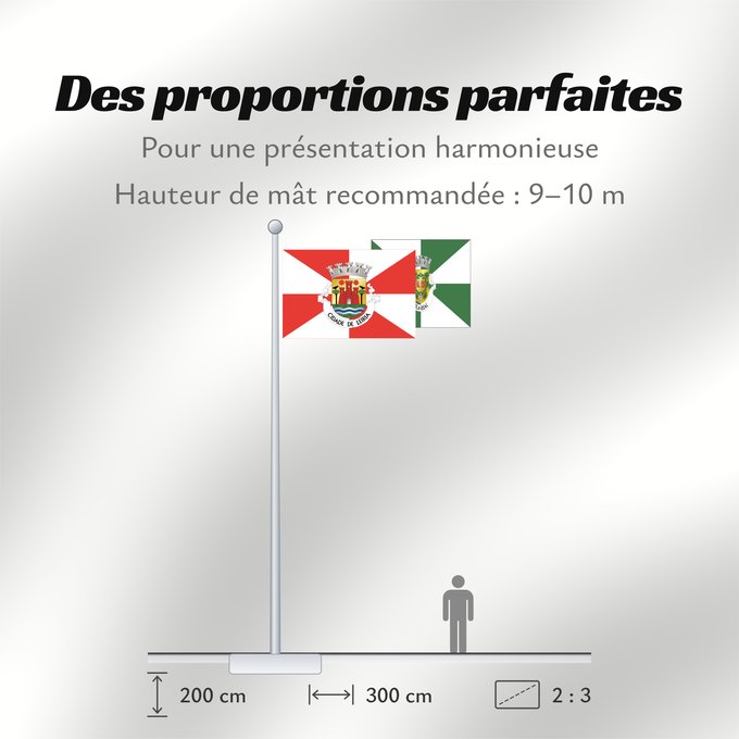 Proportions du drapeau : Leiria