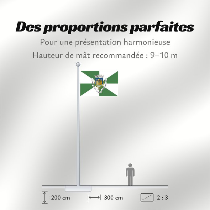 Proportions du drapeau : Porto