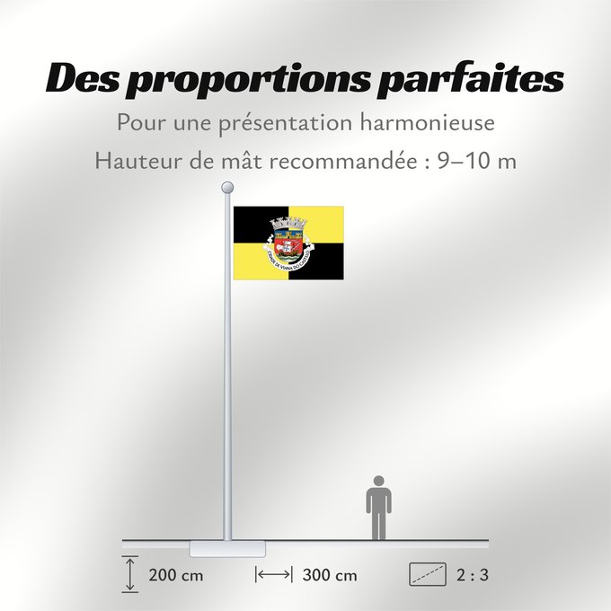 Proportions du drapeau : Viana do Castelo