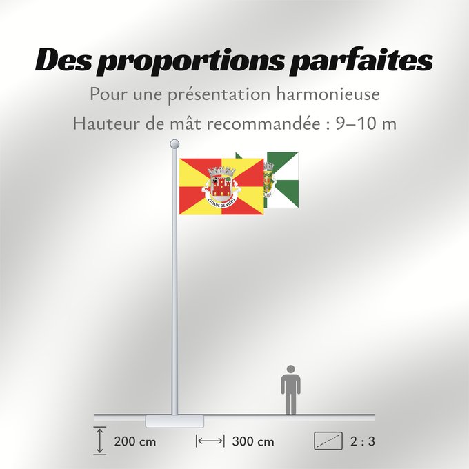 Proportions du drapeau : Viseu