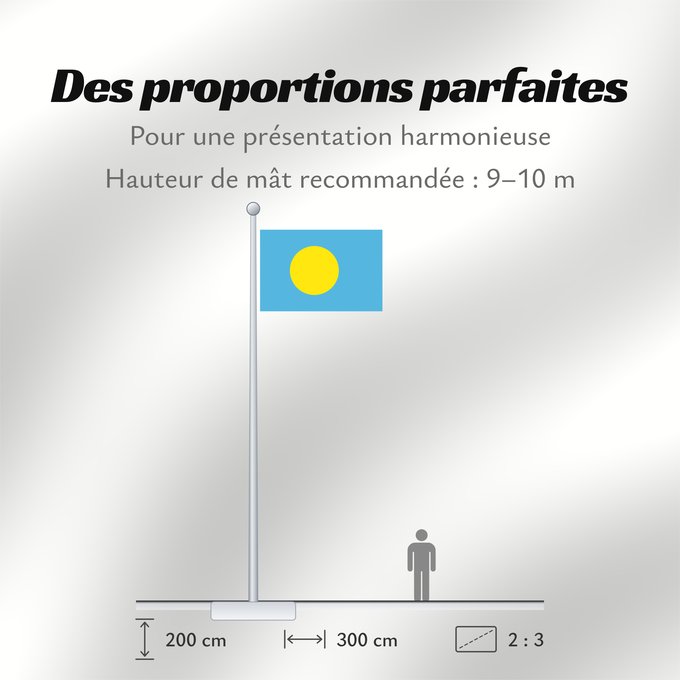 Proportions du drapeau : Palau	Palau, made by User Gabbe	 Palaos	Palaos	パラオの国旗	Palaua	​帕勞國旗