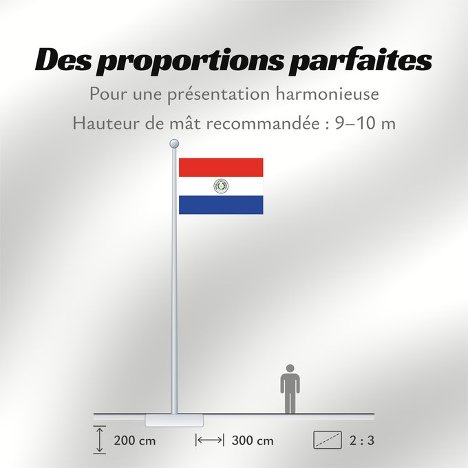Proportions du drapeau : Paraguay Paraguay obverse علم باراغواي پرچم پاراگوئه روی پرچم Флаг Парагвая