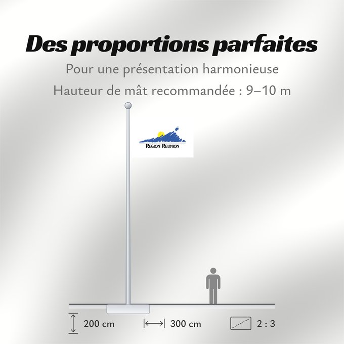 Proportions du drapeau : Réunion