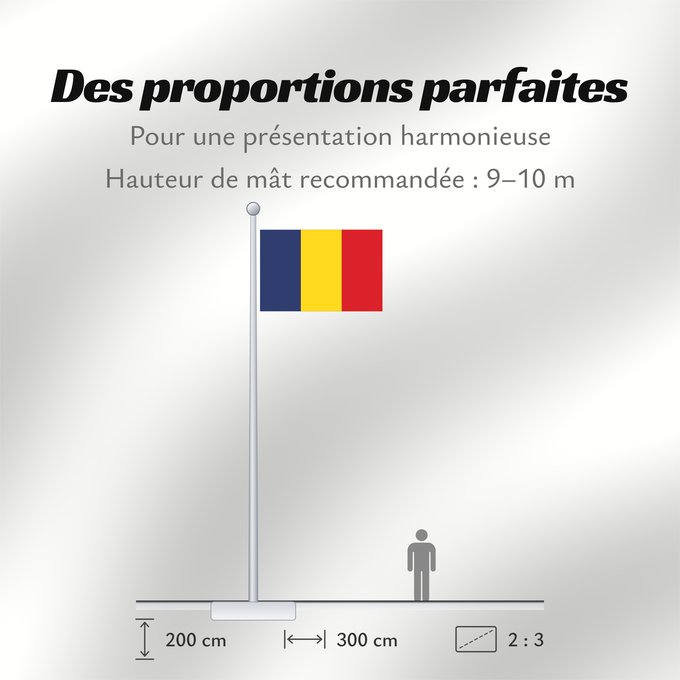Proportions du drapeau : Romania Romania from 1867 until 1947 and since 1989 Roumanie Rumania Rumäniens Roemenië Roménia Rumunii Сцяг Румыніі Сьцяг Румыніі Знаме на Румъния Banniel Roumania Rumunská vlajka ꙁна́мѧ Роумꙑні́ꙗ Rwmania Rumæniens Σημαία της Ρουμανίας Rumeenia lipp Roma