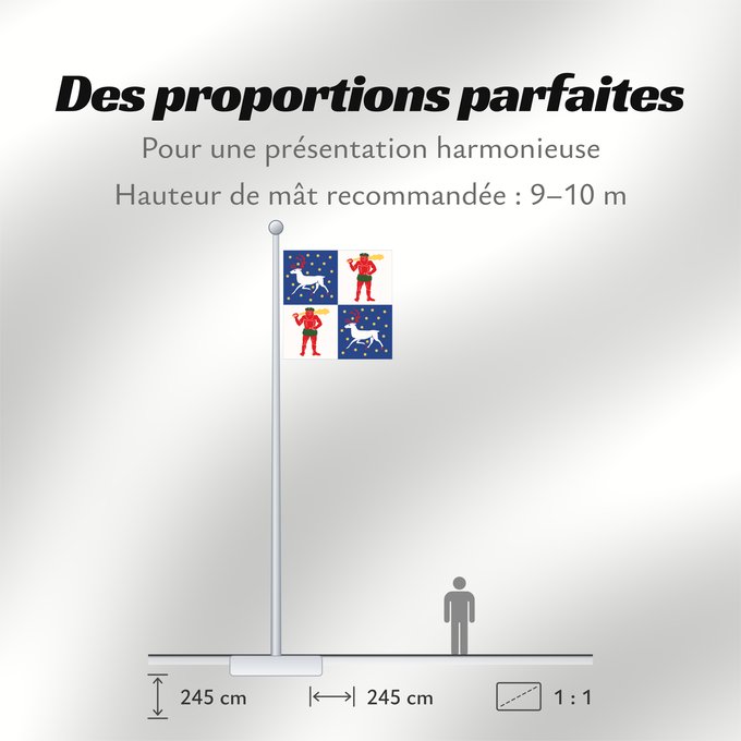 Proportions du drapeau : Norrbottens län vapenflagga	Norrbotten County in Sweden	Norrbotten	Norrbottens läns vapenflagga