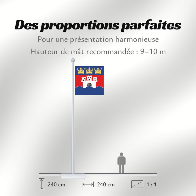 Proportions du drapeau : Jönköpings län vapenflagga Jönköping County in Sweden Jönköping Jönköpings läns vapenflagga