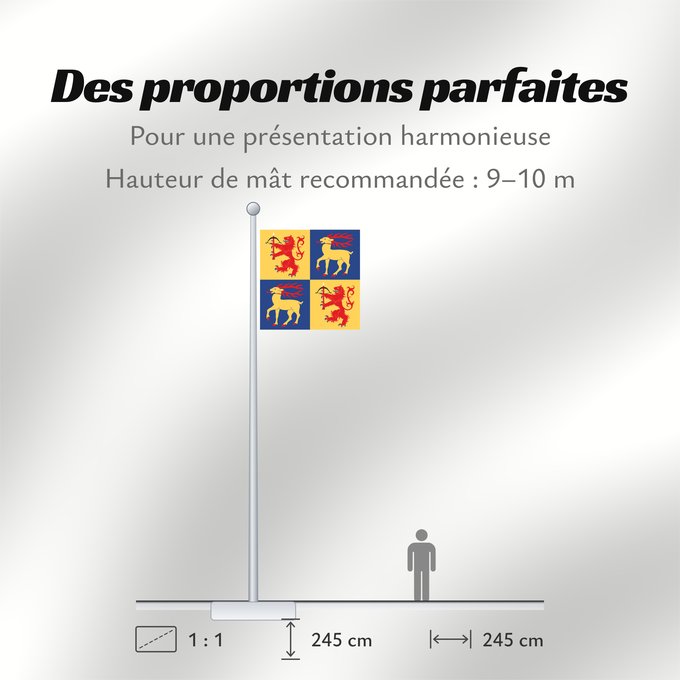 Proportions du drapeau : Kalmar län