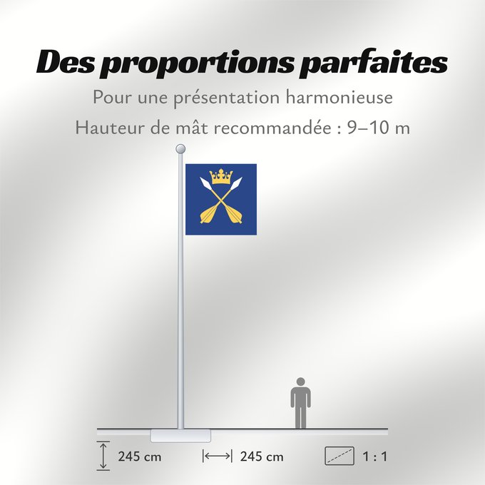 Proportions du drapeau : Dalarnas län