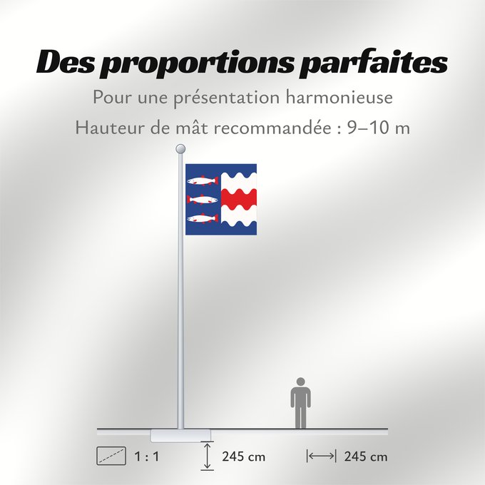 Proportions du drapeau : Västernorrlands län