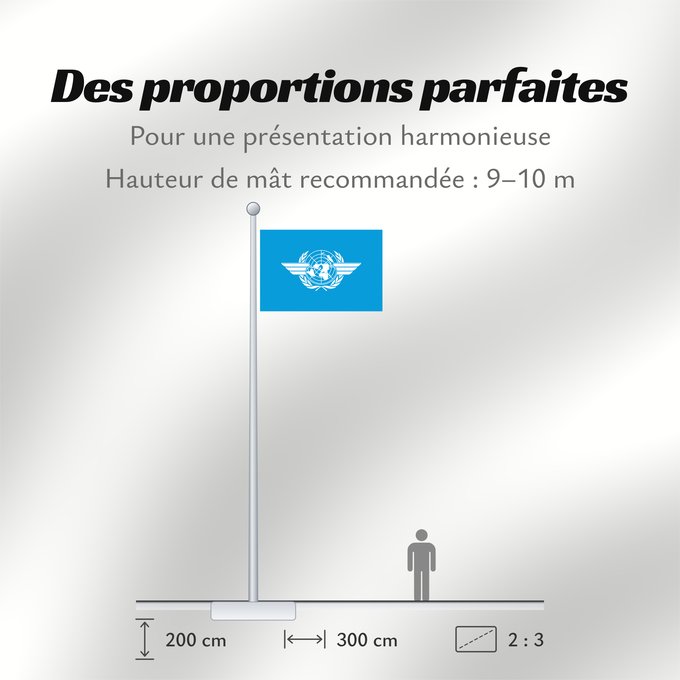 Proportions du drapeau : ICAO	International Civil Aviation Organization	L Organisation de l aviation civile internationale
