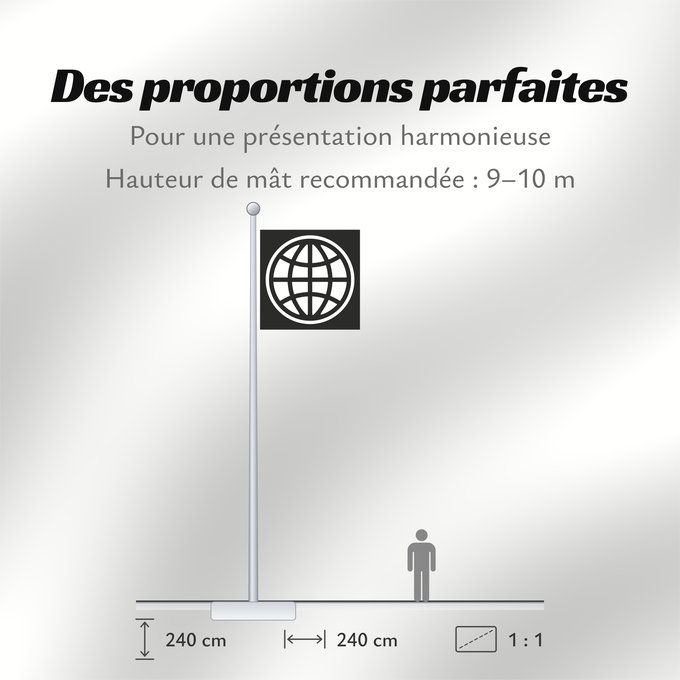 Proportions du drapeau : The World Bank Group