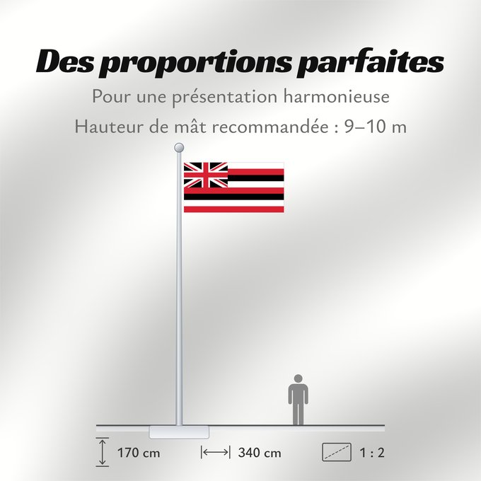 Proportions du drapeau : Hawaii D Hawaï Hawái Banniel Hawaii ᎭᏩᏱ ᎦᏓᏘ Ka hae Hawaiʻi 夏哇夷 州의 旗 / 하와이 주의 기 Havaii Hawáai Hahoodzo bidah naatʼaʼí Флаг Гавайев Američke savezne države Havaji