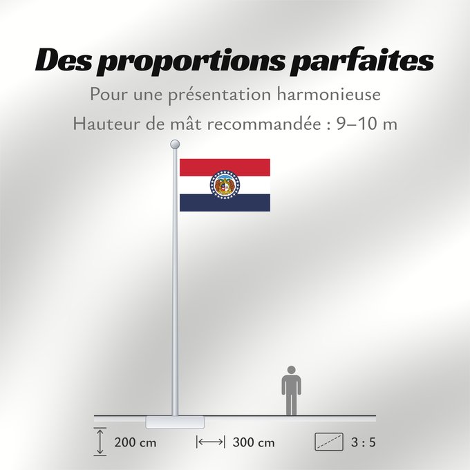 Proportions du drapeau : Missouri Missouri, adopted in 1913 Misuri ᏨᎫᎵ ᎦᏓᏘ Ka hae Mikouli Missuriae Mizoowii Hahoodzo bidah naatʼaʼí Флаг Миссури Američke savezne države Missouri