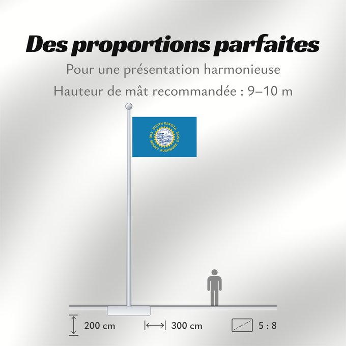 Proportions du drapeau : South Dakota Dakota du Sud Dakota del Sur Dakota del Sud ᏧᎦᎾᏮ ᏓᎧᏓ ᎦᏓᏘ Ka hae Kakoka Hema Dacota Meridionalis Shádiʼááhjí Dikóodah Hahoodzo bidah naatʼaʼí Флаг Южной Дакоты Američke savezne države Južne Dakote Прапор Південної Дакоти