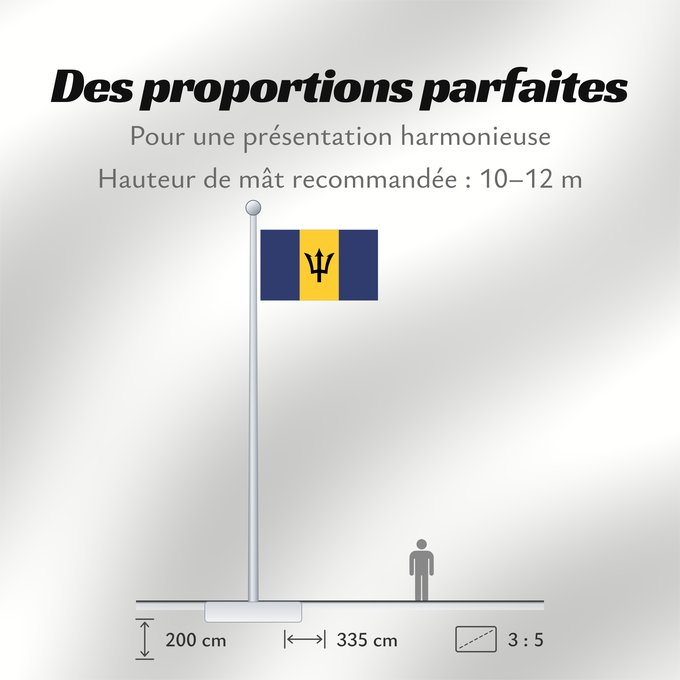 Proportions du drapeau : Barbados	Barbade	Barbado	Barbadoksen	Ala Barbadosê	Флаг Барбадоса	Barbadosa