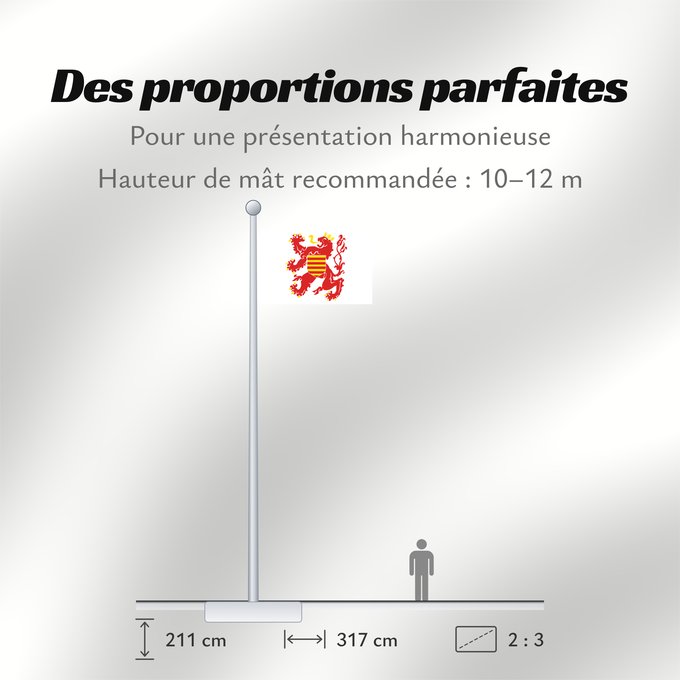 Proportions du drapeau : Limburg (nl)