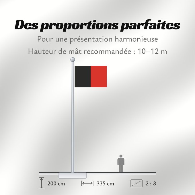 Proportions du drapeau : Namur Province	Namur	Shows the flag of the province of Namur in Belgium