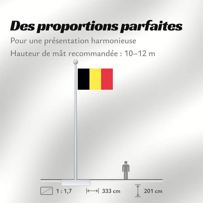 Proportions du drapeau : Belgium civil The civil ensign and flag of Belgium Belgique Bélgica Belgien Belgio België in de verhouding 2 3, gebruikt als civiele vlag en de facto nationale vlag Belgii Belgiens Civilna zastava Belgije Флаг Бельгии