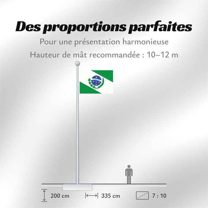 Proportions du drapeau : Paraná